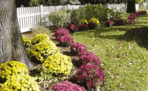 fence ideas and trends near PG County