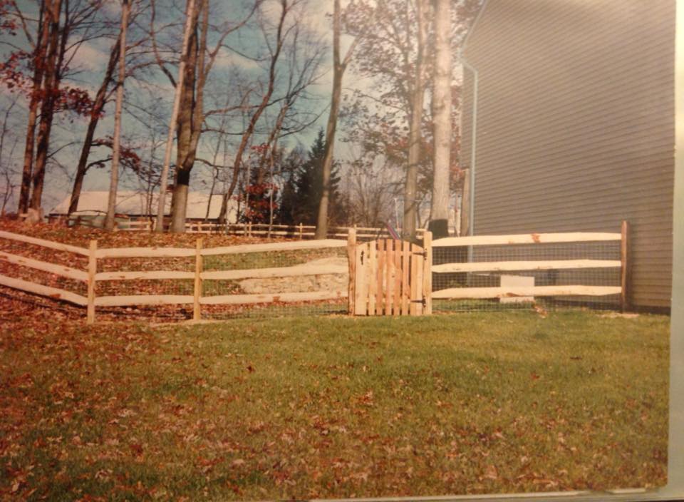 split rail fence in Tall Timbers