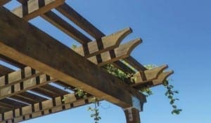 Pergola